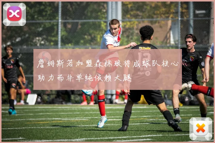 詹姆斯若加盟森林狼将成球队核心助力而非单纯依赖大腿