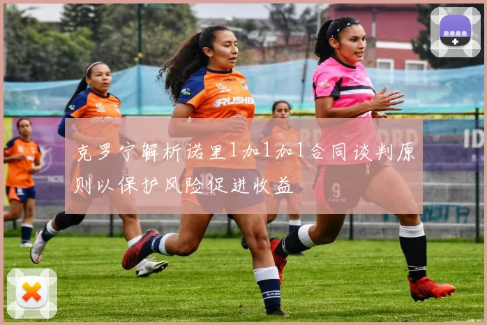 克罗宁解析诺里1加1加1合同谈判原则以保护风险促进收益
